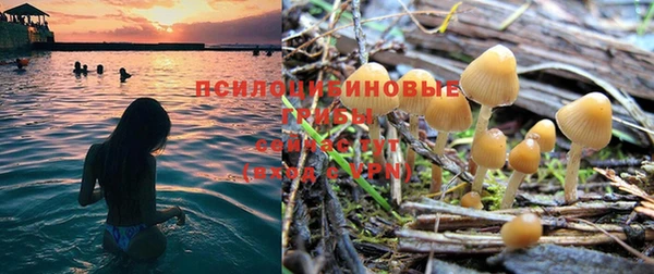 прущий лед Краснослободск