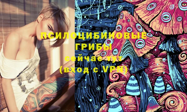 ПСИЛОЦИБИНОВЫЕ ГРИБЫ Корсаков