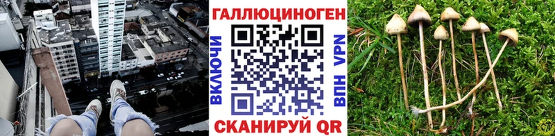 blacksprut ССЫЛКА  закладка  Комсомольск  Галлюциногенные грибы GOLDEN TEACHER 